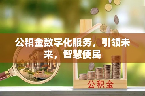 邱县公积金数字化服务，引领未来，智慧便民