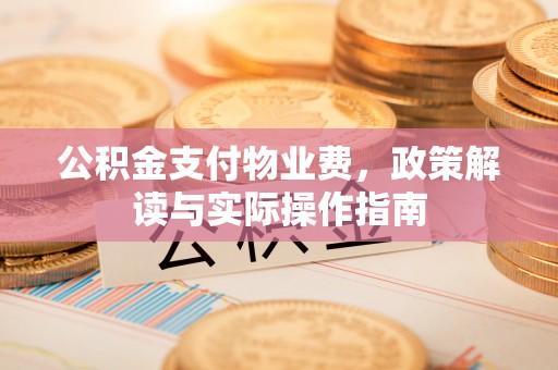云城公积金支付物业费，政策解读与实际操作指南