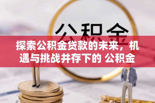 沙鹿探索公积金贷款的未来，机遇与挑战并存下的 公积金贷款风险防控