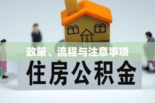 延津政策、流程与注意事项