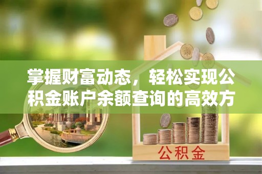 延津掌握财富动态，轻松实现公积金账户余额查询的高效方法