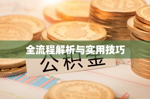 水城全流程解析与实用技巧