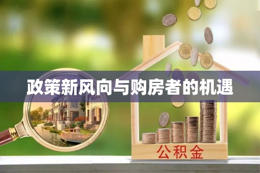 学甲政策新风向与购房者的机遇