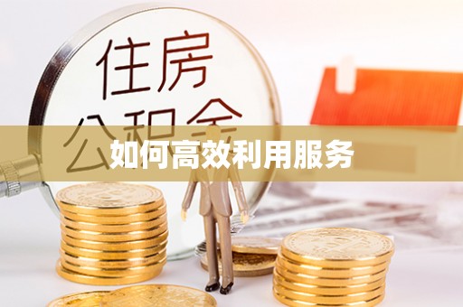 舟山如何高效利用服务