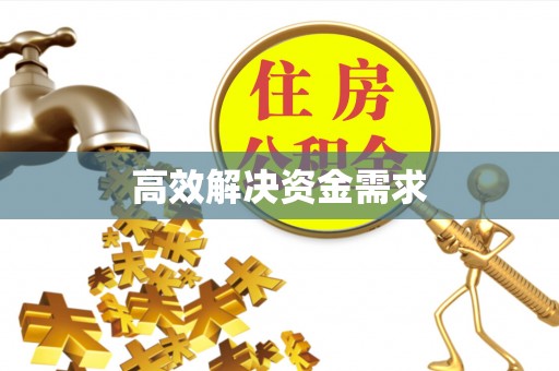 花山高效解决资金需求