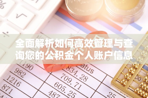噶尔全面解析如何高效管理与查询您的公积金个人账户信息