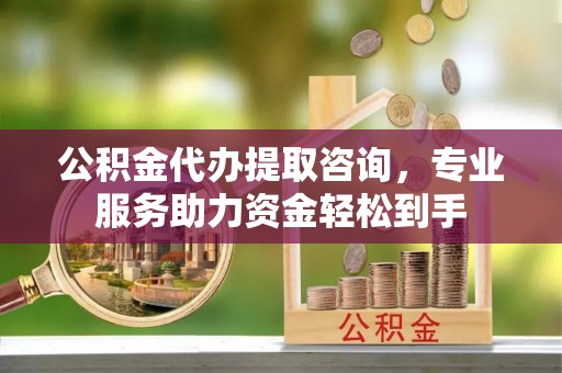 宁河公积金代办提取咨询，专业服务助力资金轻松到手