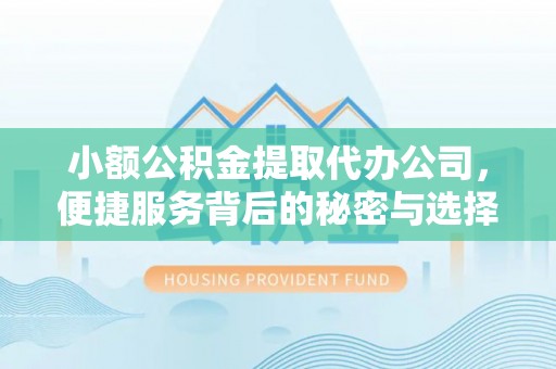 优质小额公积金提取代办公司，便捷服务背后的秘密与选择指南