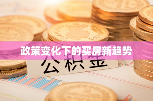 吉木乃政策变化下的买房新趋势