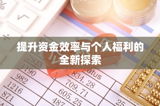 芷江提升资金效率与个人福利的全新探索