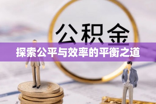 枝江探索公平与效率的平衡之道