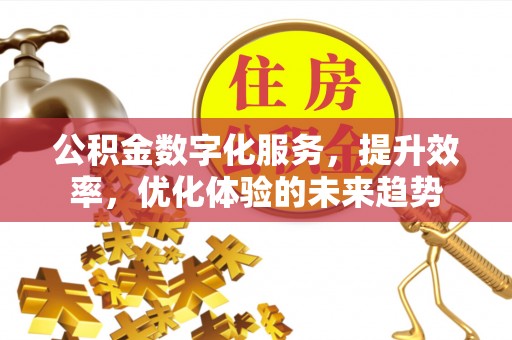 双湖公积金数字化服务，提升效率，优化体验的未来趋势