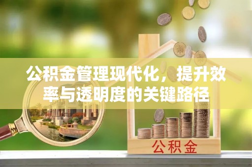 嵩明公积金管理现代化，提升效率与透明度的关键路径