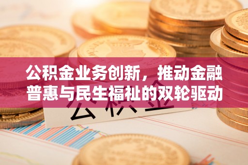九龙公积金业务创新，推动金融普惠与民生福祉的双轮驱动