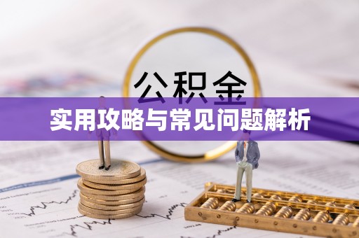 疏附实用攻略与常见问题解析