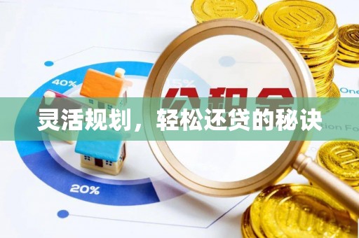 埔里灵活规划，轻松还贷的秘诀