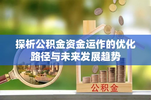 那玛夏探析公积金资金运作的优化路径与未来发展趋势