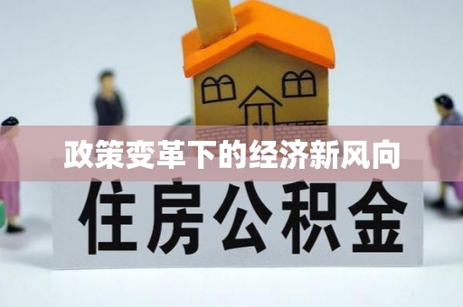 龙泉政策变革下的经济新风向