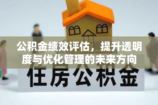 那玛夏公积金绩效评估，提升透明度与优化管理的未来方向