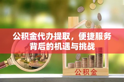 北海新区公积金代办提取，便捷服务背后的机遇与挑战
