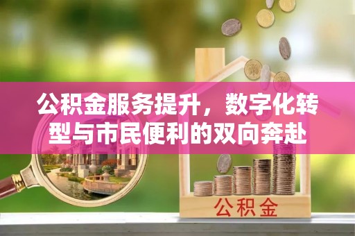 大名公积金服务提升，数字化转型与市民便利的双向奔赴