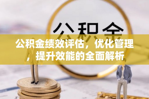 海棠公积金绩效评估，优化管理，提升效能的全面解析