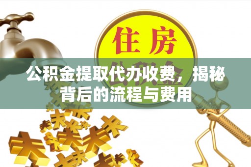 新源公积金提取代办收费，揭秘背后的流程与费用