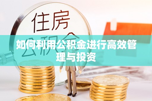 晋中如何利用公积金进行高效管理与投资