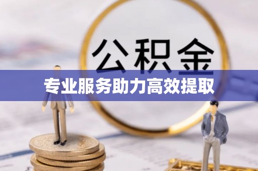 渝中专业服务助力高效提取