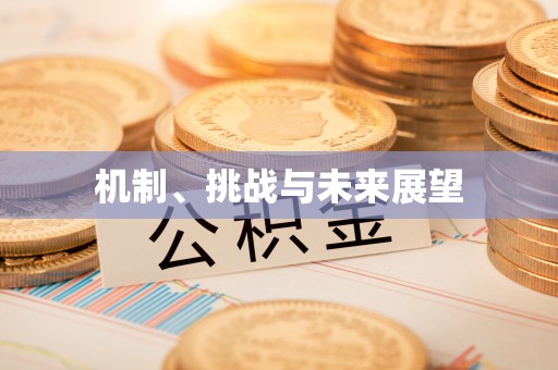广汉机制、挑战与未来展望